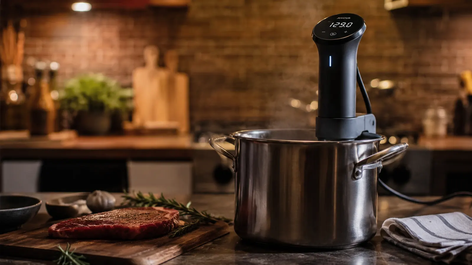 Anova Sous Vide Review: A Year of Weeknight Dinners