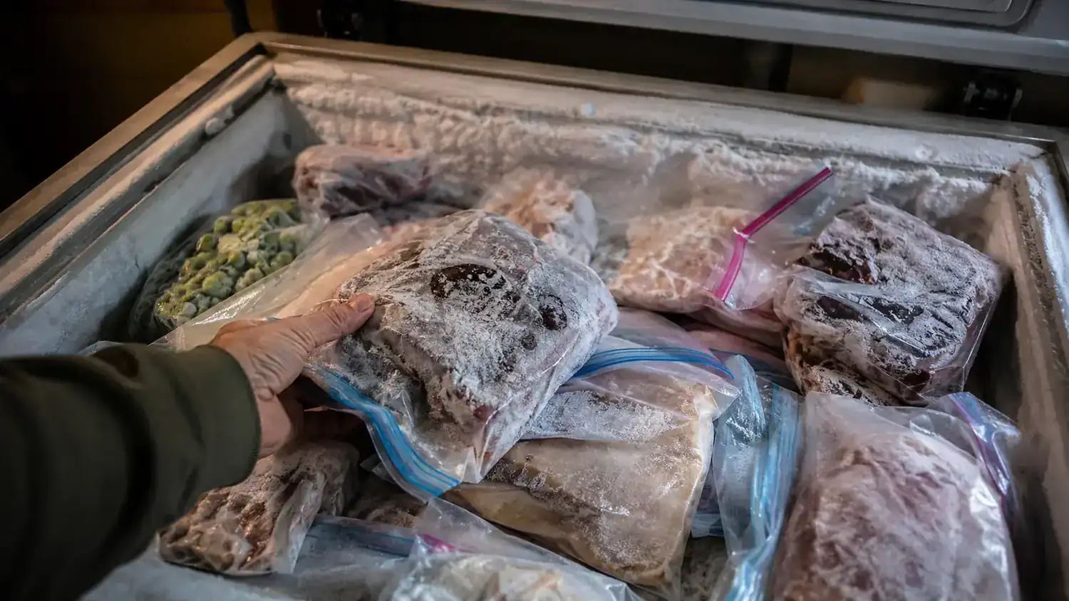 How a Vacuum Sealer Stopped My Freezer From Looking Like a Crime Scene