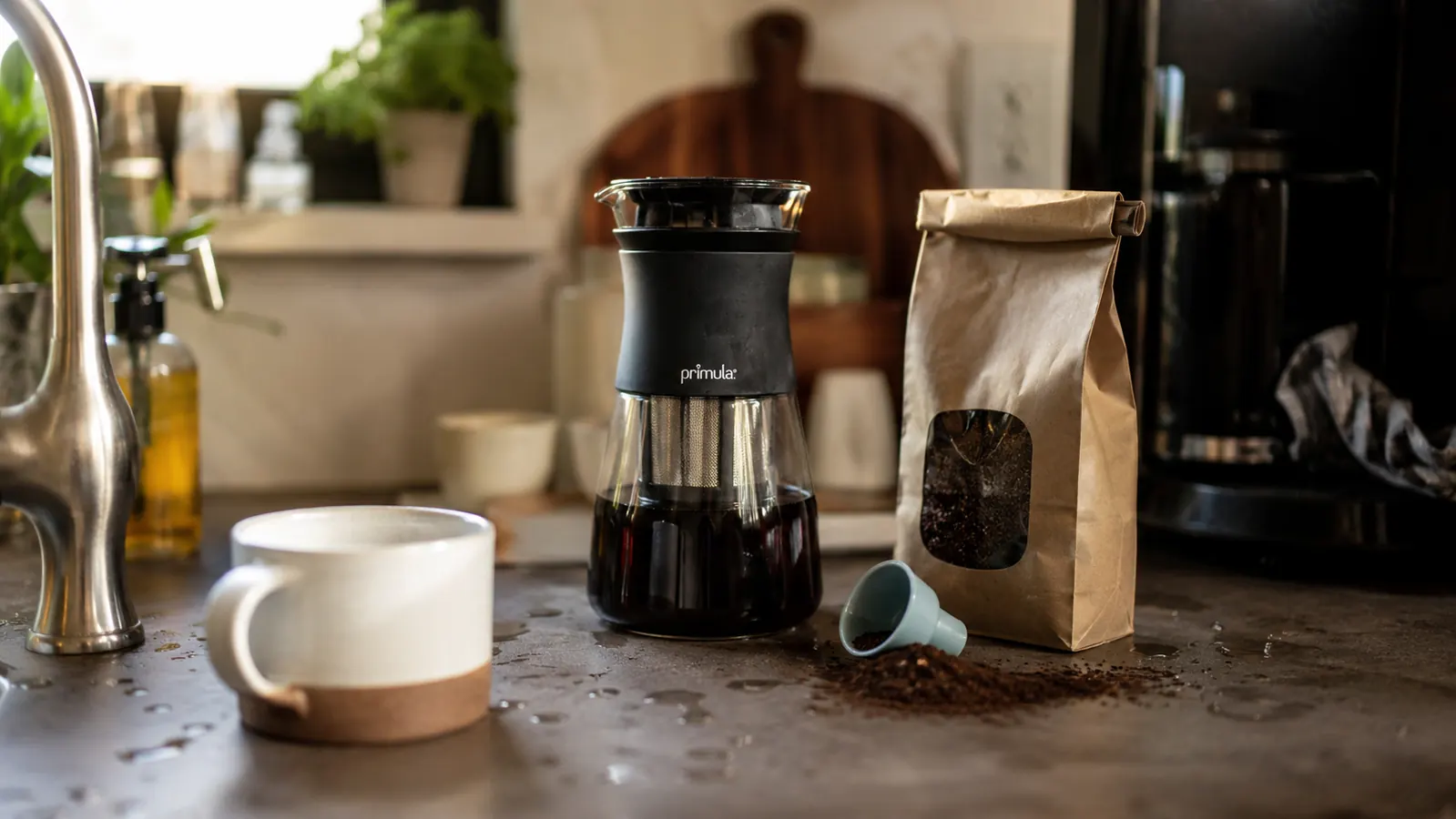 The Honest Primula Cold Brew Review After the Novelty Wore Off