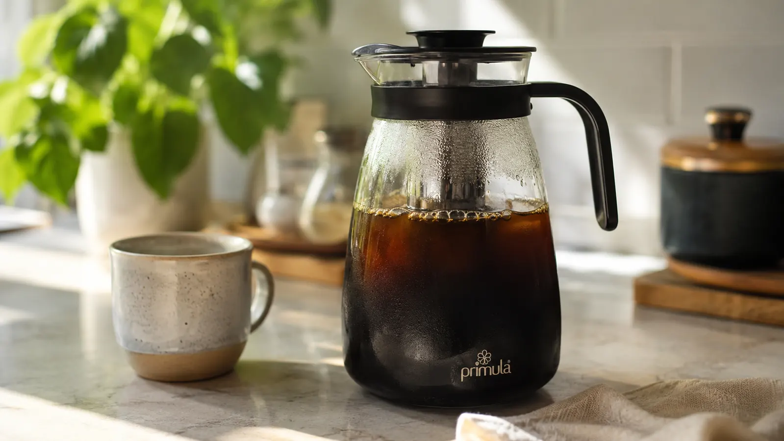 Primula Cold Brew Maker Review: Six Months of Daily Batches